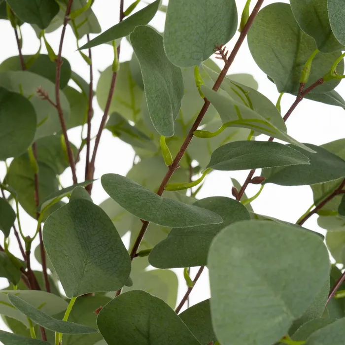 PLANTA EUCALIPTO POLIESTER 50 X 50 X 130 CM
