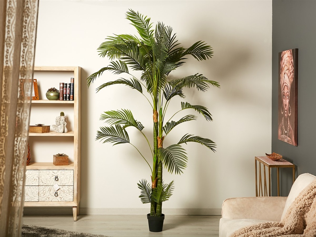 ARBOL KENTIA 250 CMS.