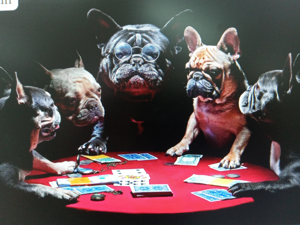 CUADRO FOTO CRISTAL TEMPLADO PERROS 80X120 CM