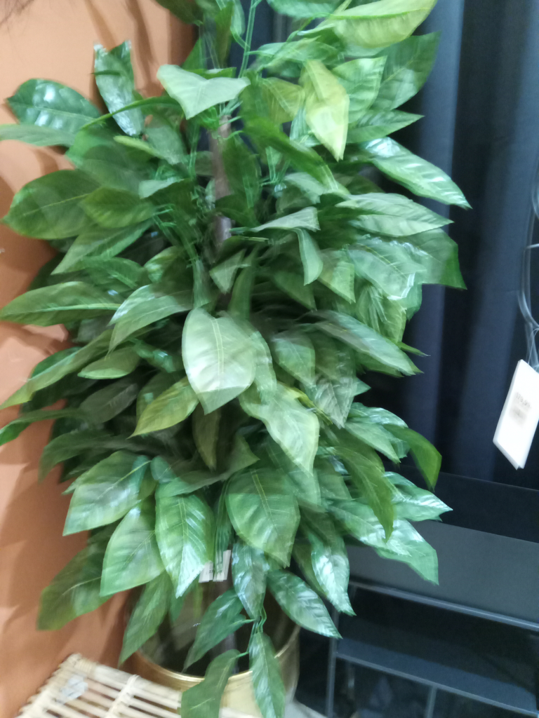 PLANTA ARBOL MADERA POLIESTER 90X90X180 MANGO VERDE 