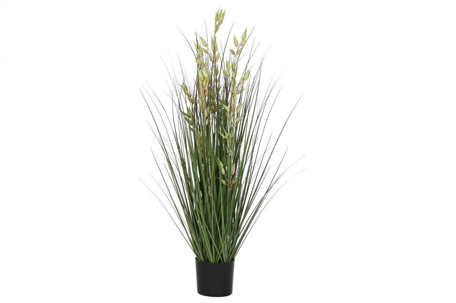 PLANTA AVENA VERDE 55X55X120CMS