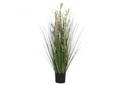PLANTA AVENA VERDE 55X55X120CMS