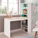 ESCRITORIO CON ESTANTERIA VILLENA BL-CBR