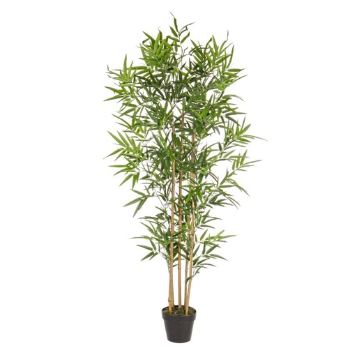 [804248] PLANTA BAMBU POLIESTER 75 X 75 X 147 CM