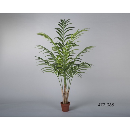 [472-068] Planta Kentya 196 *90 cms