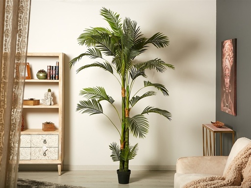 [45396] ARBOL KENTIA 250 CMS.