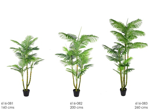 [616-083] Planta palmera 260 cms