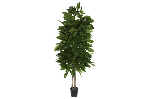[JA-211394] ARBOL MADERA POLIESTER 90X90X180 MANGO VERDE 