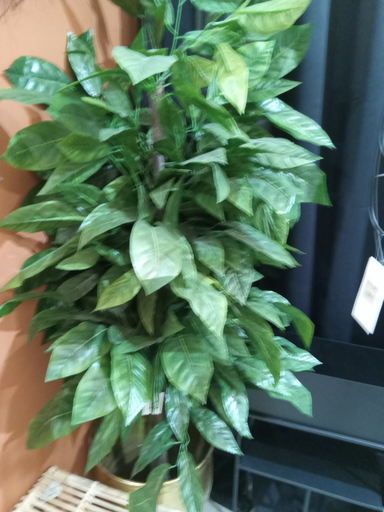 [JA-211394] PLANTA ARBOL MADERA POLIESTER 90X90X180 MANGO VERDE 