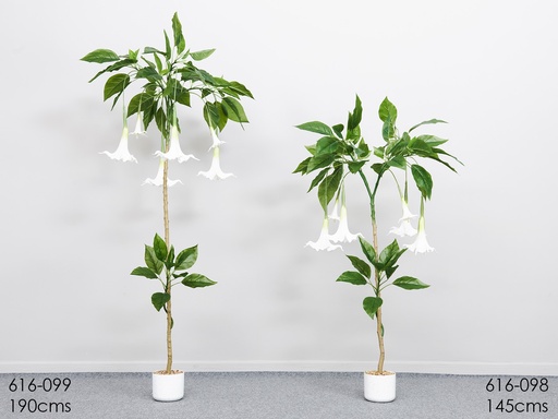 [616-099] Planta Datura blanca 190 cms