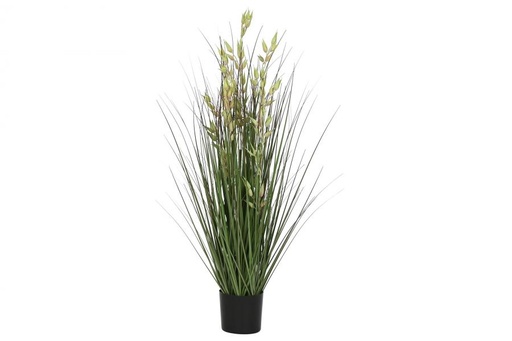 [JA-217009] PLANTA AVENA VERDE 55X55X120CMS