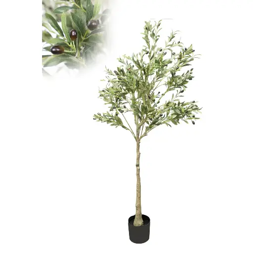 [84-4187] ARBOL OLIVO 80X130X90CMS
