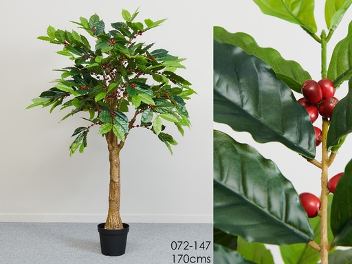 [072-147] PLANTA ARBOL REAL TOUCH 170 CM